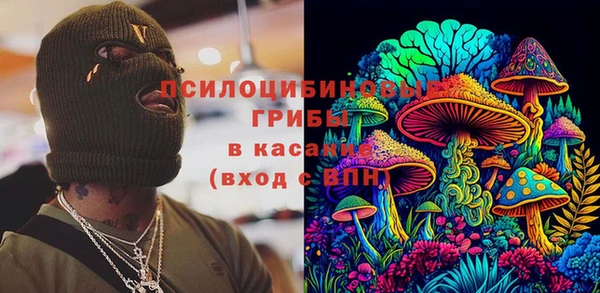 не бодяженный Алексин