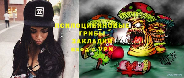 не бодяженный Алексин