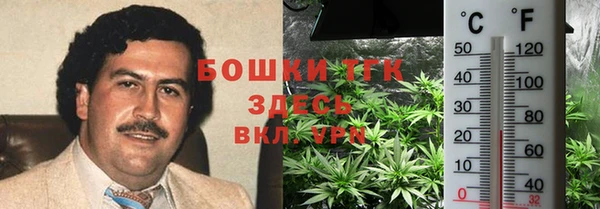 прущий лед Горно-Алтайск