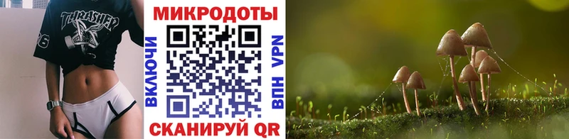 как найти закладки  Игра  Псилоцибиновые грибы Magic Shrooms 